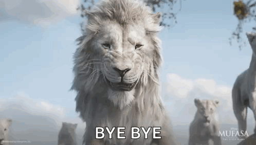 A White Lion Is Standing In Front Of A Herd Of White Lions And Saying `` Bye Bye '' . GIF