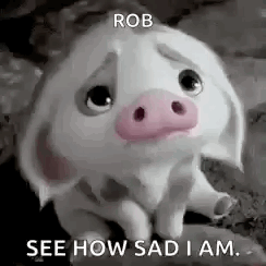 A White Pig With A Pink Nose Is Sitting On A Rock And Looking Sad . GIF