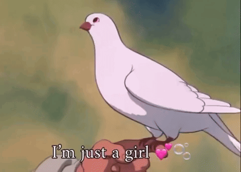 a white pigeon is sitting on top of a person 's hand and says `` i 'm just a girl '' .