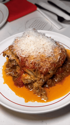 A White Plate Topped With A Lasagna With Sauce And Cheese On Top GIF