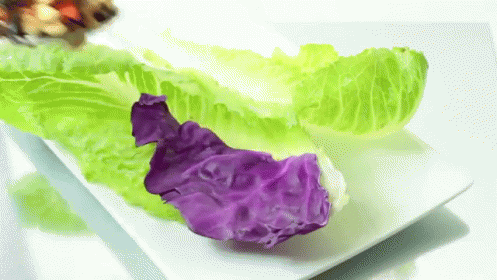 A White Plate Topped With Lettuce And A Purple Leaf GIF