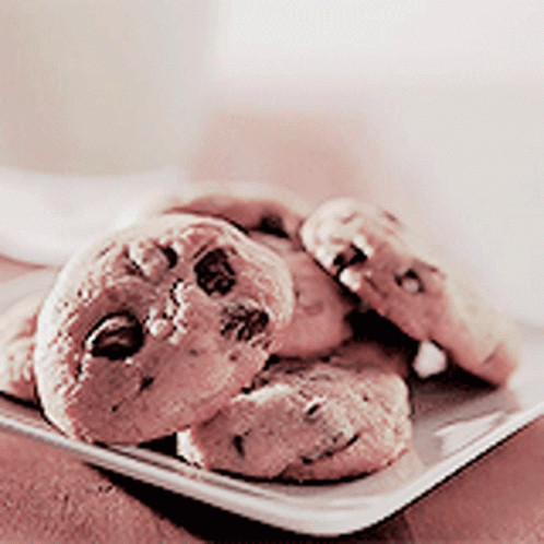 A White Plate With Chocolate Chip Cookies On It GIF
