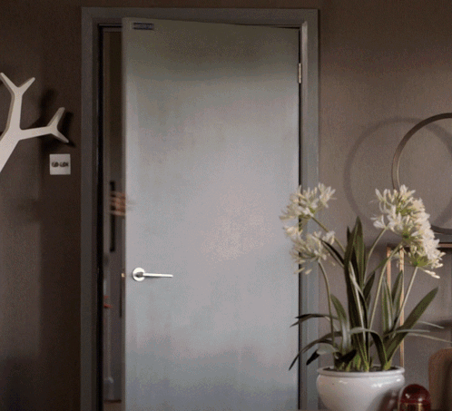 A White Potted Plant Sits In Front Of A Door That Has A Sticker On It That Says ' A ' GIF