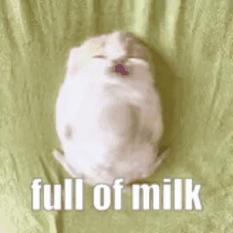 A White Puppy Is Sleeping On A Green Blanket With The Words `` Full Of Milk '' Written Above It . GIF