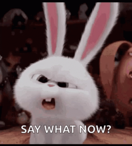A White Rabbit From The Secret Life Of Pets Is Saying `` Say What Now ? '' GIF