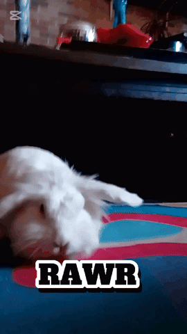 a white rabbit is laying on a colorful rug with the word rawr written on it