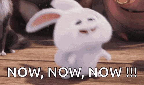 A White Rabbit Is Standing On A Wooden Floor With The Words Now Now Now !!! Behind It . GIF