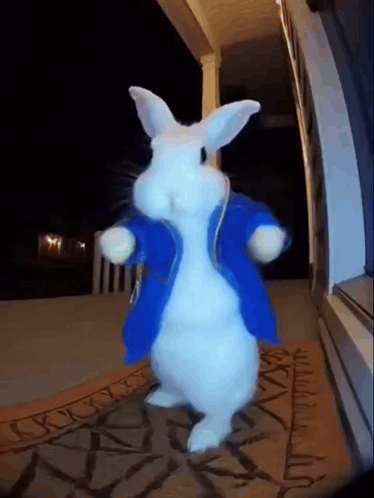 A White Rabbit Wearing A Blue Jacket Is Dancing GIF