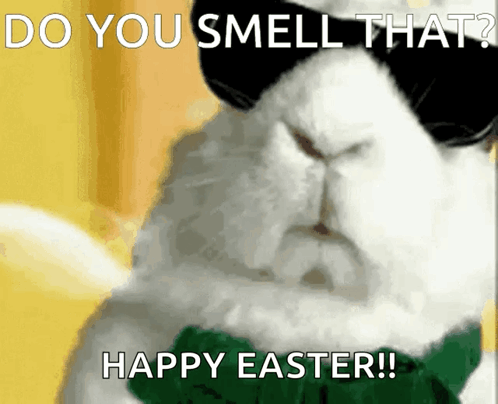 A White Rabbit Wearing Sunglasses And A Green Bow Tie Says " Do You Smell That " GIF