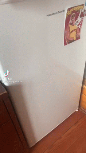 A White Refrigerator With A Poster Of Hulk Hogan On The Door . GIF
