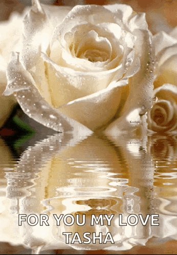 A White Rose Is Reflected In The Water With The Words " For You My Love Tasha " GIF