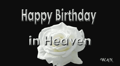 A White Rose On A Black Background With The Words Happy Birthday In Heaven Above It GIF