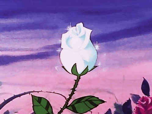 A White Rose With Green Leaves Against A Pink And Blue Sky GIF