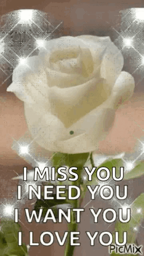 A White Rose With The Words `` I Miss You I Need You I Want You I Love You '' GIF