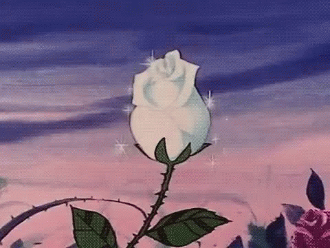 A White Rose With Thorns And Leaves Is Against A Pink And Blue Sky In A Cartoon . GIF