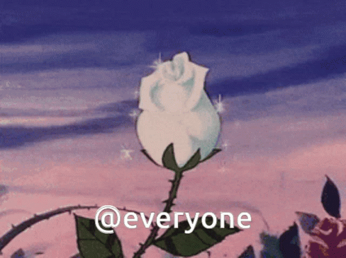 A White Rose With Thorns And The Words @Everyone GIF