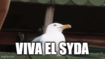 A White Seagull Is Sitting On A Green Roof With The Words Viva El Syda Written Below It . GIF