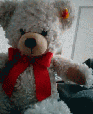 a white teddy bear with a red bow around his neck