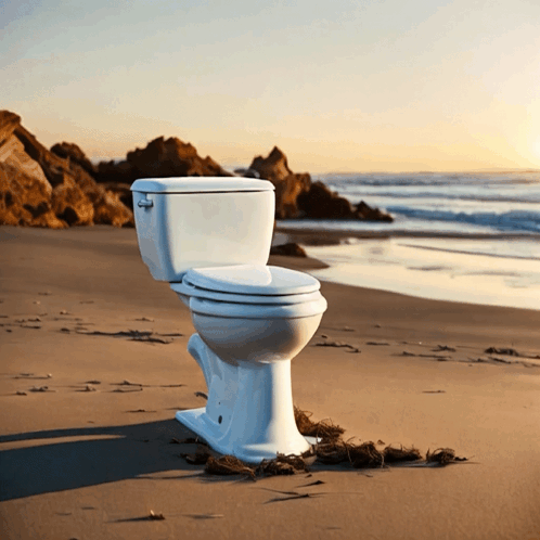 A White Toilet Sits On The Beach Near The Ocean GIF
