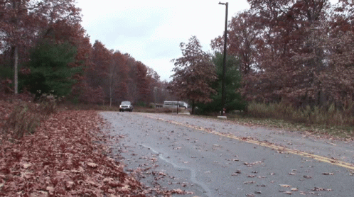 A White Truck Is Driving Down A Road Surrounded By Trees GIF