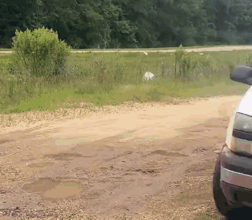 A White Truck Is Parked On A Dirt Road Near A Grassy Field GIF