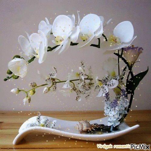A White Vase Filled With White Flowers And Seashells Has A Watermark That Says Virigak Romantic Picmix On It GIF
