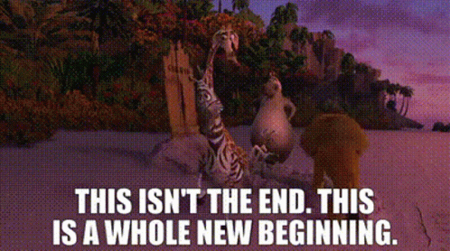 A Whole New World Alex The Lion Madagascar GIF