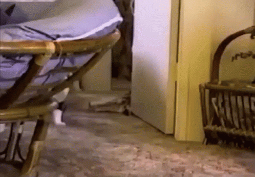 A Wicker Chair Is Sitting In A Room Next To A Door GIF