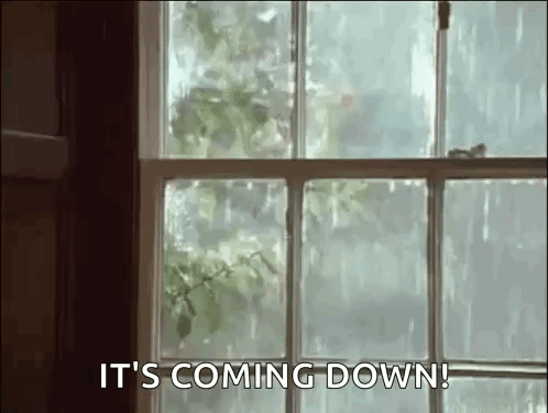 A Window With A Bird Flying Out Of It And The Words `` It 'S Coming Down '' . GIF