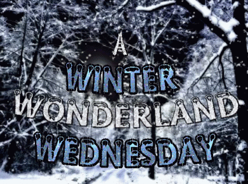A Winter Snowy Wonderland Saturday GIF