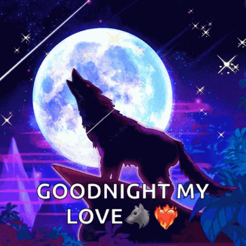 A Wolf Howling At A Full Moon With The Words Goodnight My Love Below It GIF