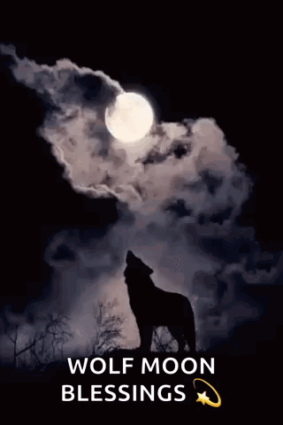 A Wolf Howling At The Full Moon With The Words Wolf Moon Blessings Below It GIF