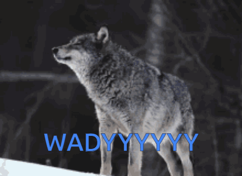 A Wolf Is Standing In The Snow With The Words Wadyyyyy Written In Blue GIF