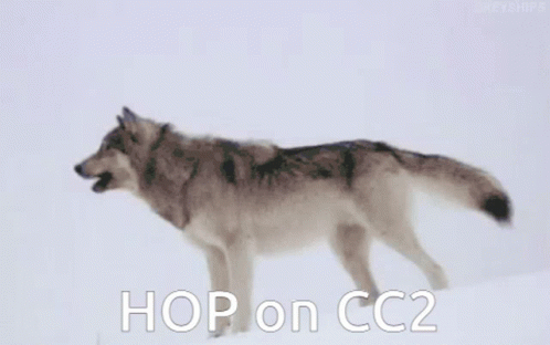 A Wolf Is Walking In The Snow With The Caption Hop On Cc2 GIF