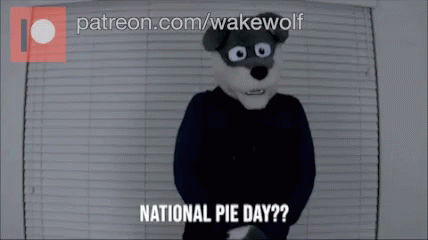 a wolf mascot says national pie day in front of blinds