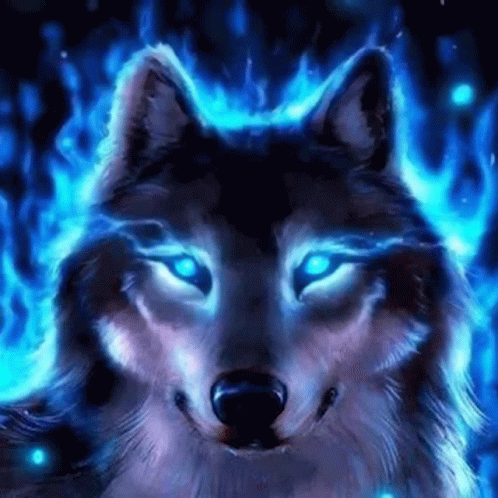 A Wolf With Blue Eyes Is Surrounded By Blue Flames And Is Glowing In The Dark . GIF