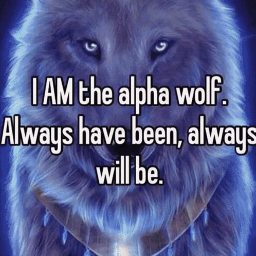 A Wolf With The Words I Am The Alpha Wolf Always Have Been Always Will Be Above It GIF