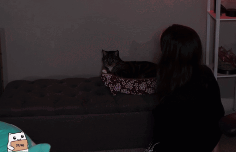 A Woman Holding A Black Cat With The Words Caught Me A Kitty Behind Her GIF