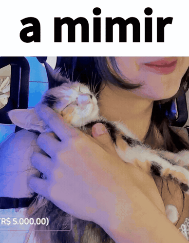 A Woman Holding A Cat With The Words A Mimir Written Above Her GIF