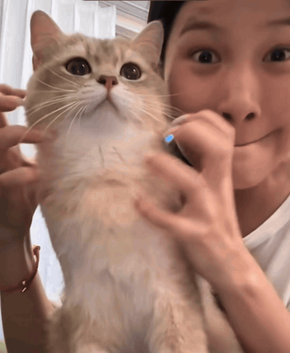 A Woman Holds A Cat In Her Arms And The Cat Is Looking At The Camera GIF