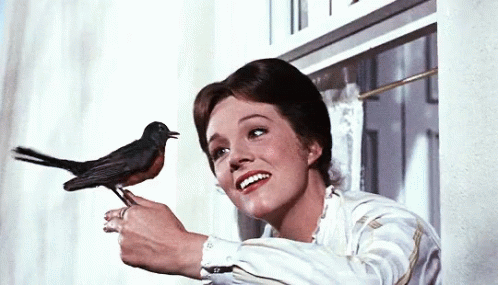 A Woman Holds A Small Black Bird In Her Hand GIF