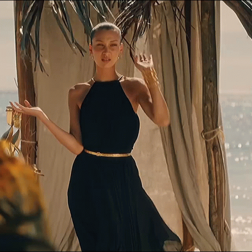 A Woman In A Black Dress Stands In Front Of A Canopy Overlooking The Ocean GIF