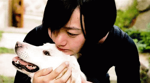 A Woman In A Black Shirt Is Kissing A White Dog On The Nose GIF
