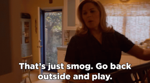 A Woman In A Black Shirt Says That 'S Just Smog Go Back Outside And Play GIF