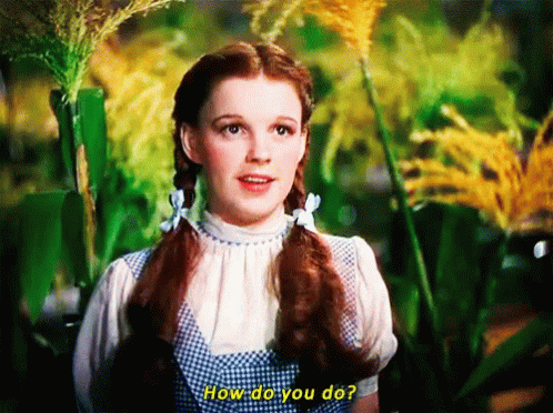 A Woman In A Blue And White Plaid Dress Says How Do You Do GIF