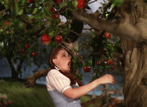 A Woman In A Blue And White Striped Dress Is Eating Apples From A Tree GIF