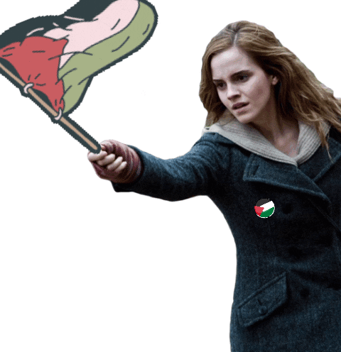A Woman In A Blue Coat Is Holding A Flag With A Drawing Of A Person On It GIF
