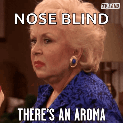 A Woman In A Blue Dress Has A Meme That Says Nose Blind There 'S An Aroma GIF