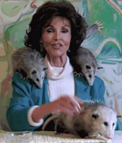 A Woman In A Blue Jacket Is Petting Two Opossums On Her Shoulders GIF