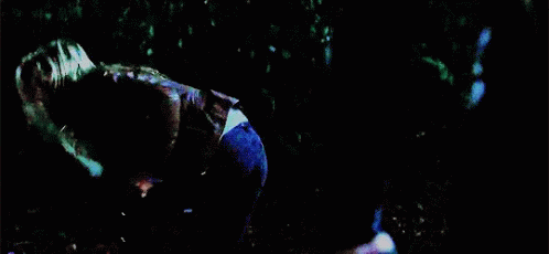 A Woman In A Blue Shirt Is Running Through A Dark Forest GIF